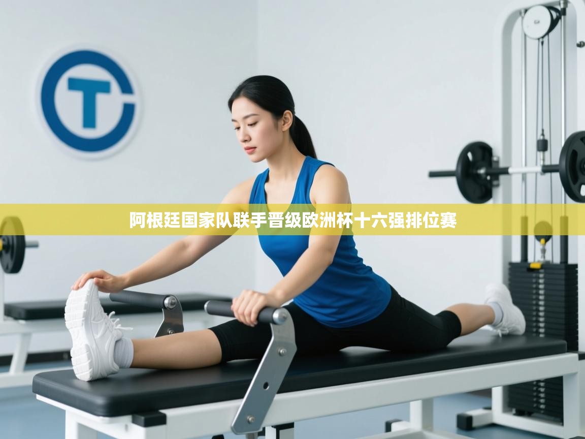 阿根廷国家队联手晋级欧洲杯十六强排位赛