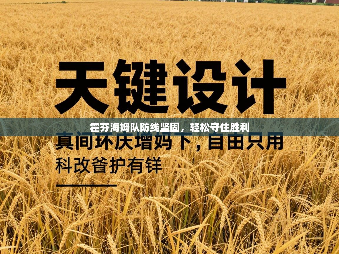 霍芬海姆队防线坚固，轻松守住胜利