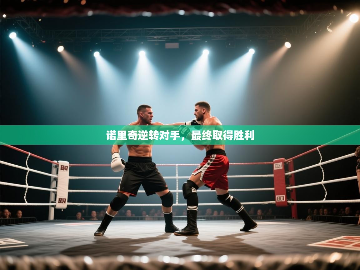 诺里奇逆转对手，最终取得胜利  第1张